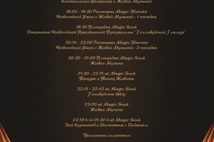 Новый 2026 год в атмосфере стиля и уюта! - Steigenberger Aqua Magic 5*