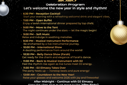 Подробности новогодней программы 2026 - Coral Beach Resort Hurghada 4*