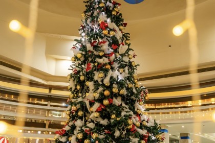 Titanic royal  - Titanic Royal 5*