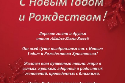 ✨ С Новым годом и светлым праздником Рождества Христова! ✨ - Albatros Sharm Resort - Sharm El Sheikh 4*